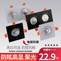 Double head spotlight led embedded ceiling lamp rectangular open pore 16 * 8 cm 20 * 10 lattice grid light gangway cylinder light