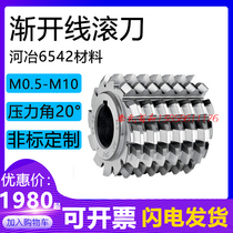 Involute Hob M10 a30 ° A Φ125X125X40 (Heye High Speed Steel 6542)