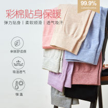 Single-piece autumn pants womens modal wear tight-fitting cotton thin large size warm extended bottoming trousers