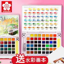 Cherry blossom solid water color pigment 24 color solid water color pigment 36 color cherry bloom brand paint 48 color water color painting tool set 30 colors full set of professional writer scenery transparent water color hand-painted romance