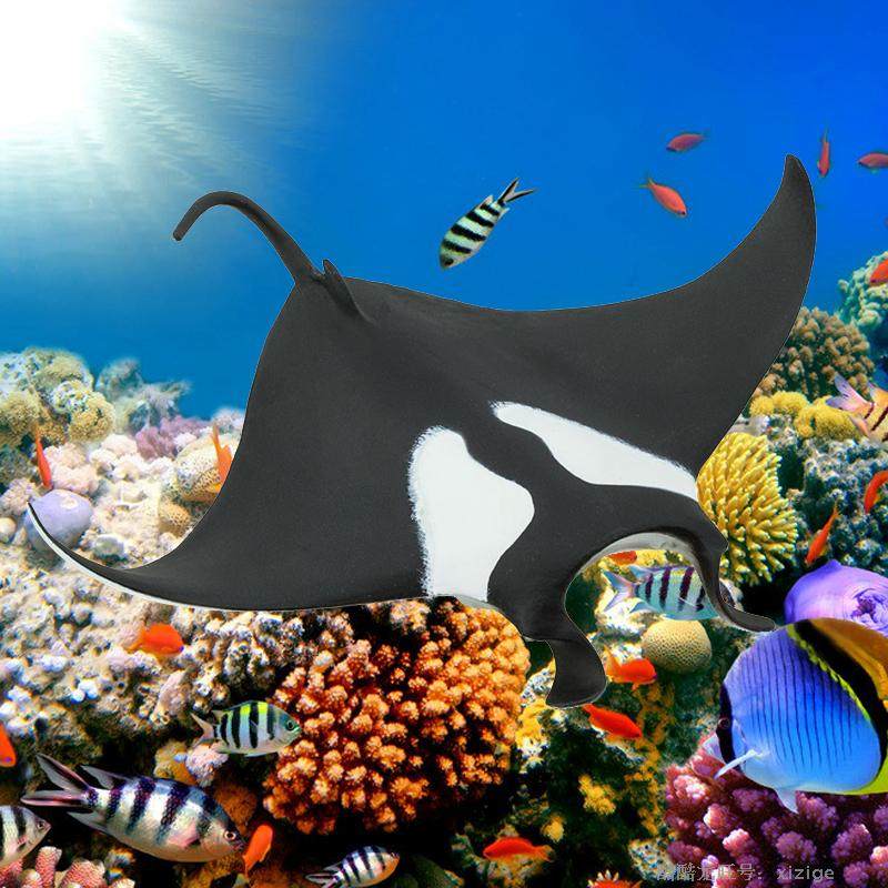 海洋生物 美国玩具safari正品蝠鲼 魔鬼鱼 蝙蝠鲨模型