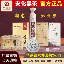 Hualaijian set hundred and two teas Gold Fu lotus fragrant Fu brick black brick Tianjian Qianliang Anhua black tea authentic