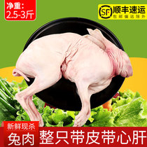 (Gather family members)Farm free-range rabbits fresh rabbit meat with skin rabbit meat whole frozen fresh meat and kill now