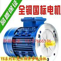 Three-phase electric motor YS637124 aluminum shell vertical horizontal 1400 120250370750 W 120250370750 W 380V