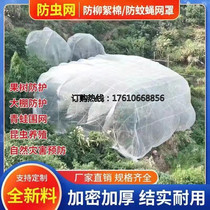Insect-proof hood cherry solid mesh anti-insect mosquito net Cherry Bird-proof hood Plant Net Room Lianmist gauze vegetal web yarn cover