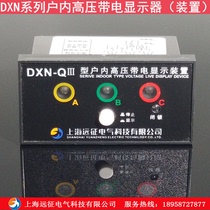 DXN-Q3 T3 indoor high voltage live display device 7 2-40 5KV live display indicator