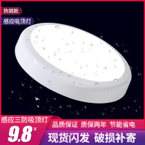 Radar induction three anti-ceiling lamp LED balcony property block building human infrared sensor sound control anti-mosquito