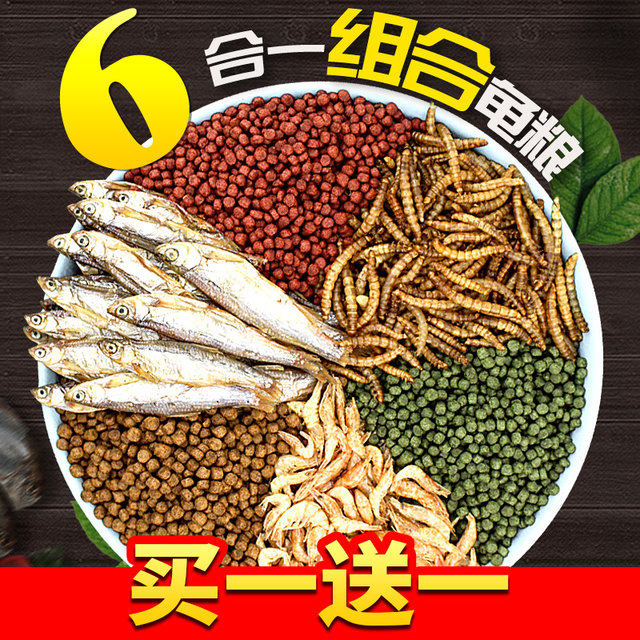 Small turtle feed universal turtle food fish dry shrimp dry freshwater Brazilian turtle Tortoise Turtle feed special food grain Small turtle feed universal turtle food fish dry shrimp dry freshwater Brazilian turtle Tortoise Turtle feed special food grain