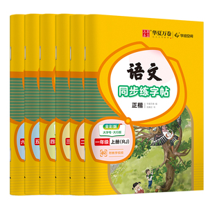 一年级二年级三练字帖小学生专用四五六字帖上册下册语文同步生字天天练人教版生字抄写本每日一练儿童练字本写字楷书笔画笔顺描红