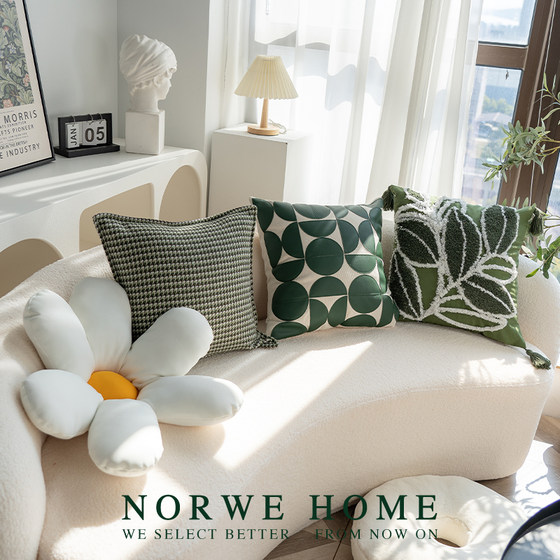 NORWE living room sofa pillow green series combination modern simple pillow case pillow back bedside cushion
NORWE living room sofa pillow green series combination modern simple pillow case pillow back bedside cushion