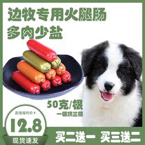 The coarse-fire leg intestine small milk dog training rewarded with zero food for three months Pet Puppies Sausage by side pastoral special dogs
