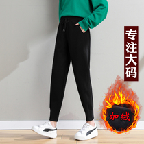 Big-yard plush sweatpants Fat MM warm pants thickened and thin elastic bundles 200 pounds of Harun pants