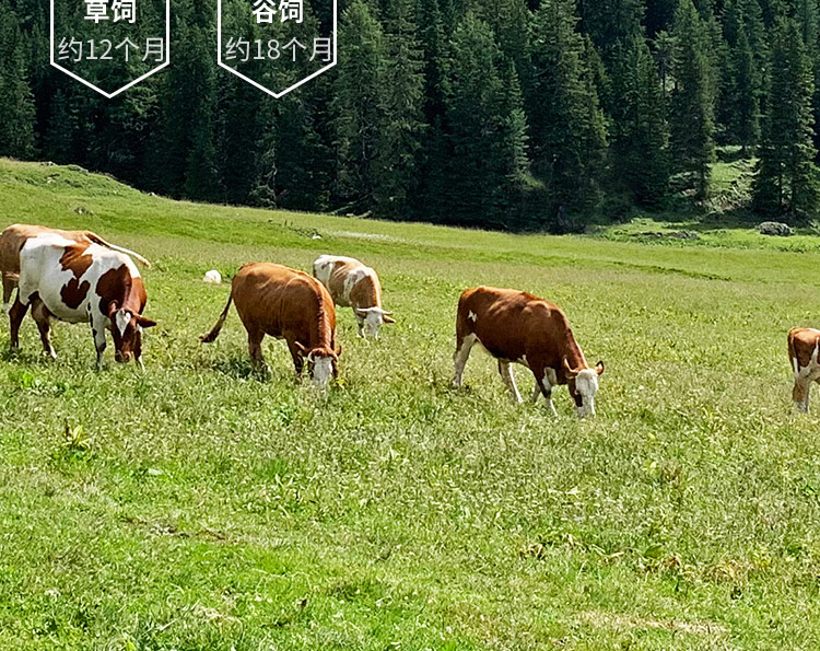 西贝莜面村内蒙古牛大骨2.04kg