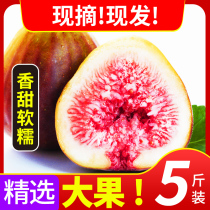 Yunnan purple skinned fig fresh big fruit in the season pregnant women should season not common fruit wholesale 3kg 5