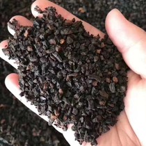 Changbai Mountain wild birch black gold particles Inonotus Brown bacteria Birch yellow 500g sanggao crowd Health tea