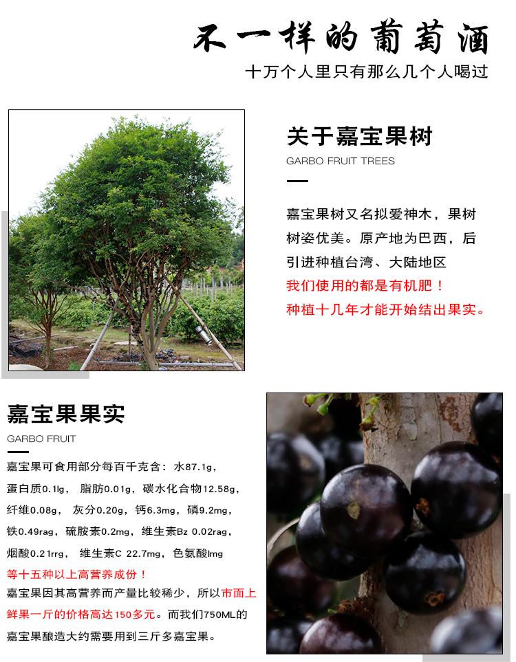 瑞佑安嘉宝果葡萄酒纯酿红酒750ml*12瓶国产整箱礼盒装顺丰包邮