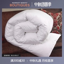 Sheraton Hotel without down quilt single double quilt core warm Four Seasons cover spring and autumn bedding White