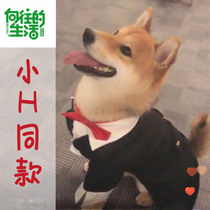 Yearning for life small H the same pet dog suit dress wedding medium-sized Shiba Inu gray teddy clothes birthday