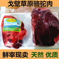 Livestock fresh camel meat fresh 1kg Inner Mongolia grassland camel meat fresh more than 6kg