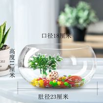 Glass Vase Bowl Lotus Copper Money Grass Narcissus Flower Pot Hydroponic Flower Green Plant Water Raising Living Room Balcony Desktop Decoration