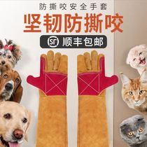Pet anti-dog bite artifact dog training gloves anti-cat scratch nail hamster anti-scratch thick long anti-bite