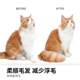 Aumuca 애완 동물 고양이 털이 개 머리카락 빗 딥 레이어 떠 다니는 머리 제거 개 브러시 브러시 긴 헤어 브러시 브러시 Aumuca 애완 동물 고양이 털이 개 머리카락 빗 딥 레이어 떠 다니는 머리 제거 개 브러시 브러시 긴 헤어 브러시 브러시