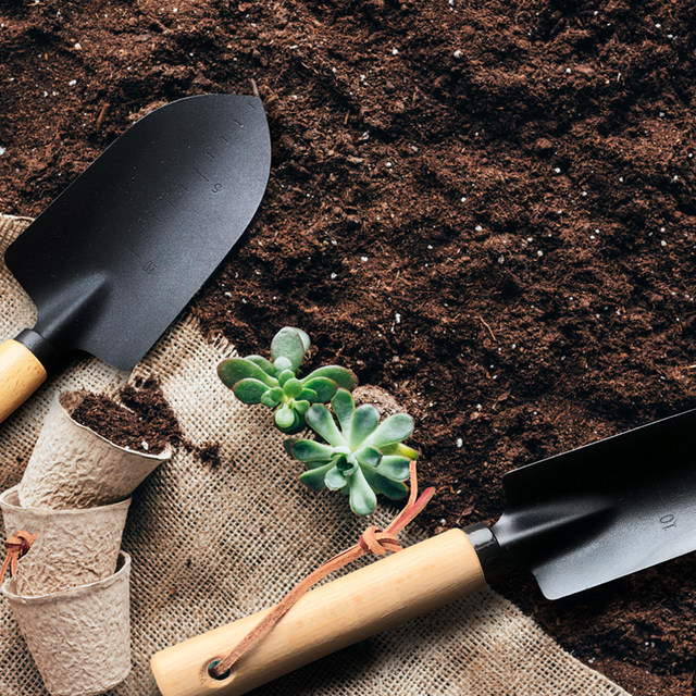 Small Japanese Black Shovel Two-Piece Gardening Tool Turning Soil Planting Shovel Rake Planting Flowers Home Gardening Shovel Small Japanese Black Shovel Two-Piece Gardening Tool Turning Soil Planting Shovel Rake Planting Flowers Home Gardening Shovel