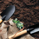 Small Japanese Black Shovel Two-Piece Gardening Tool Turning Soil Planting Shovel Rake Planting Flowers Home Gardening Shovel Small Japanese Black Shovel Two-Piece Gardening Tool Turning Soil Planting Shovel Rake Planting Flowers Home Gardening Shovel