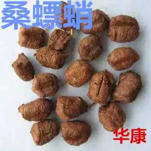 Chinese Herbal medicine Mulberry dumpling Cooked Mulberry octopus salt Mulberry dumpling Mantis salt Mulberry dumpling 500g grams