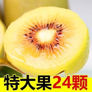 sichuan pujiang red heart kiwi fruit 30 seasonal fresh fruits pregnant women kiwi fruit extra large kiwi fruit fcl