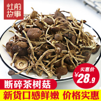 (Special price)Stove front story Broken tea tree mushroom dried goods 500g Appearance of the product is not good-looking but does not affect consumption