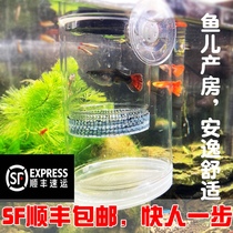 Guppy breeding isolation box Tropical ornamental fish pregnancy delivery room isolation net incubation box Small fish egg incubator