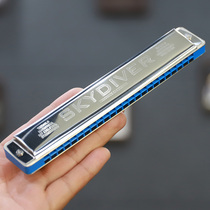 German Seydel SKYDIVER 24-hole polyphonic harmonica c tone beginner professional performance grade