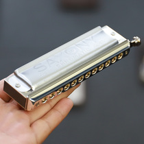 Seydel Saxony 12-hole Chromatic Harmonica Beginner Beginner Student Adult Professional