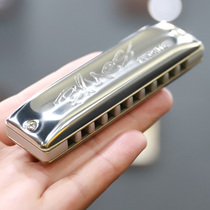 Woodside seydel Blues Favorite ten 10 hole Blues harmonica beginner adult entry Blues