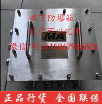 Mine explosion-proof box 304 stainless steel flameproof control box underground power box distribution box size support customization