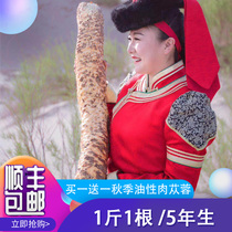 Desert ginseng cistanche non-wild Inner Mongolia special whole root Alashan Chinese herbal medicine tablets soaking powder