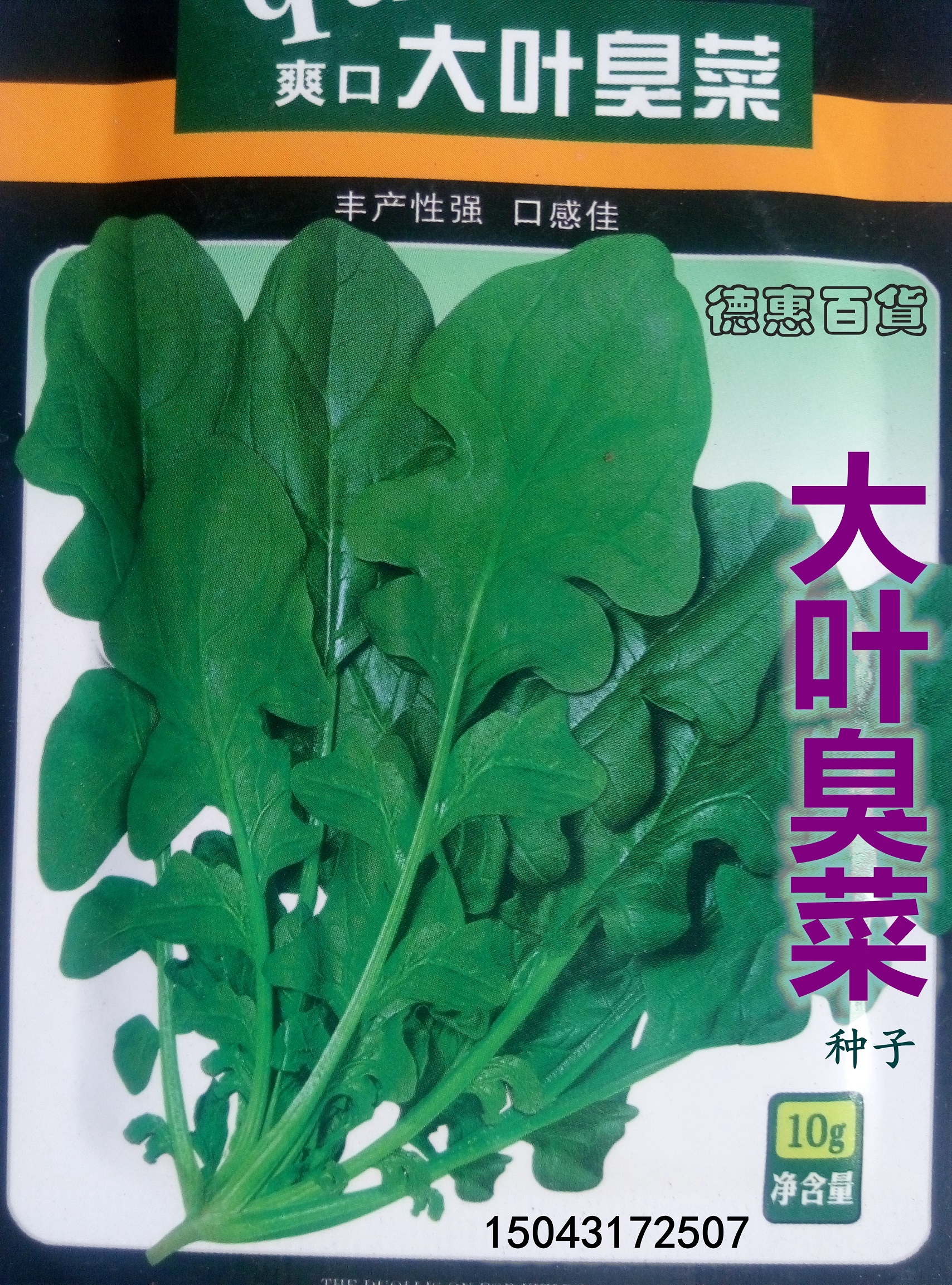 东北臭菜籽5元一两 大叶商品臭菜种子厂价销售四季可种植商品小菜