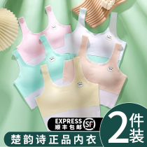 Student Adolescent Girl Hair Development Underwear Anti-Bump Small Vest Junior High School Students 9-12 -15 -15 -16 Girl Child Bra