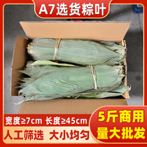 Commercial Zongzi leaves Zongzi leaves fresh dried large Zongzi leaves Dragon Boat Festival package Zongzi unified wholesale hand-selected A7 said 5 pounds