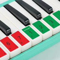 2020 new mouth organ 37 keys 32 keys children students beginner classroom teaching transparent piano keyboard stickers
