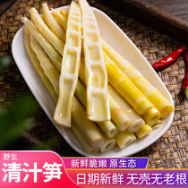 Fresh bamboo shoots crispy bamboo shoots pointed wild small bamboo shoots shelled under the meal Hot pot Arhat bamboo shoots stewed spring shoots in oil 5 kg pack