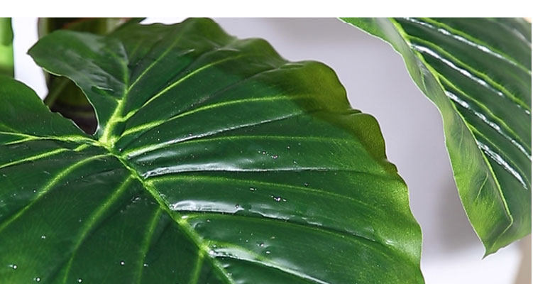 仿真绿植客厅摆件假花室内滴水观音假植物盆栽摆设塑料龟背仿真花