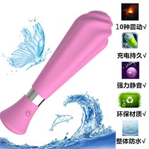 Multifunctional small charging massage stick cervical spine Shoulder Leg Face Muted Waterproof Strong male and female body vibrating massager