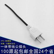 White 2-pin male plug with wire 220V male plug two-pin switching power plug pure copper with wire male head
