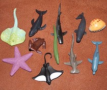 Arrival animal model toy scene ornaments marine animal whale 11 packs
