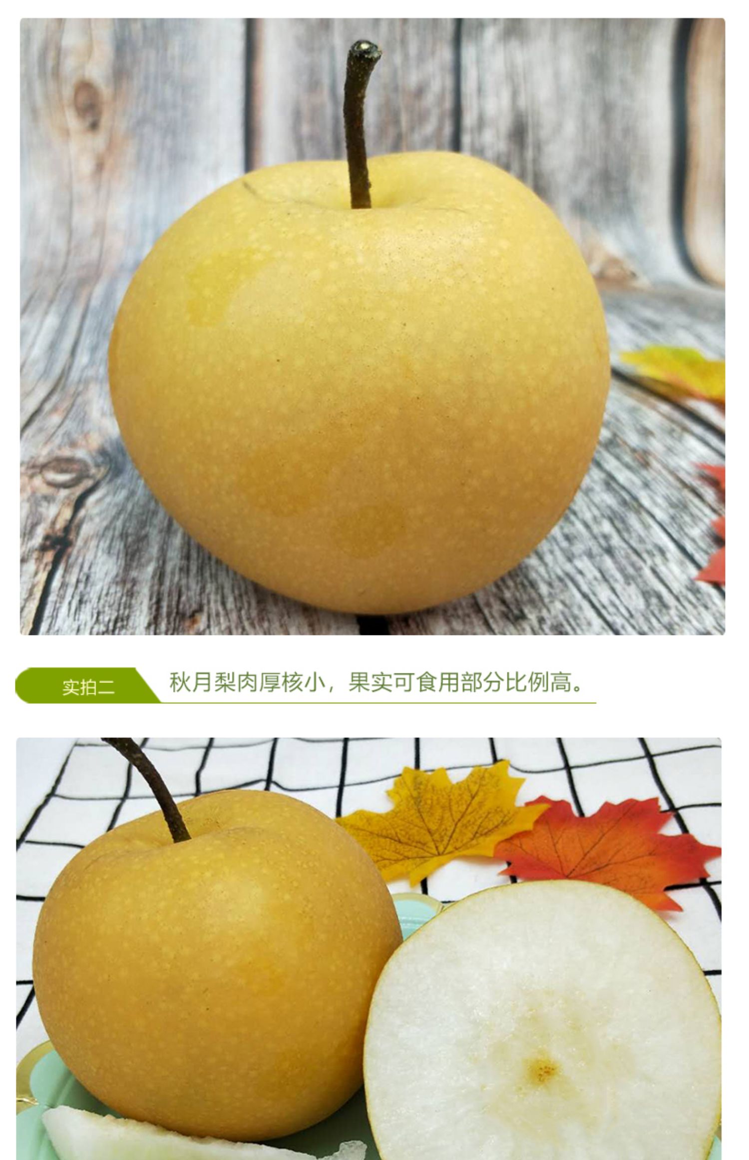 富鲁特山东正宗秋月梨羊脂香梨子发5斤