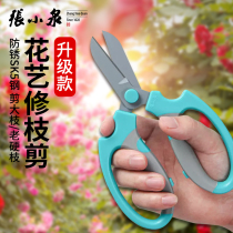 Zhang Koizumi stainless steel pruning cutter flower branches artist greening garden tools with flower grass in flower garden