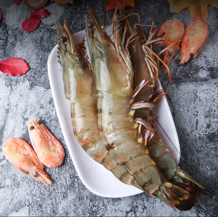 【两盒87】海鲜大虾泰国虎虾500g