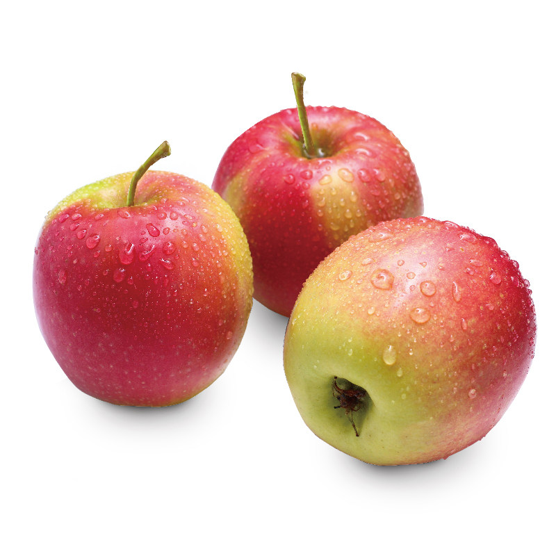 湖南湘西椪柑丑芦柑橘蜜桔子